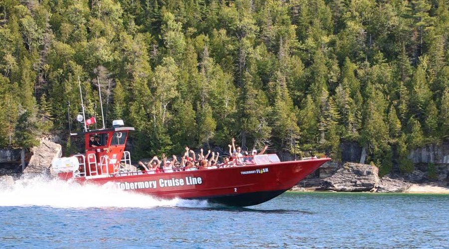 THE 15 BEST Things to Do in Tobermory - 2021 (with Photos) - Tripadvisor