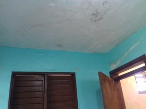 Habitación y suite