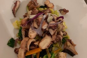 Cibo