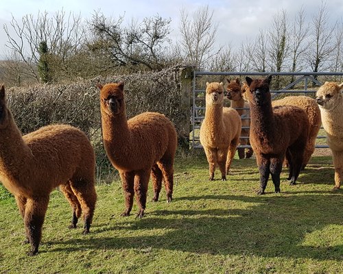 THE 10 BEST Somerset Farms (Updated 2024) - Tripadvisor