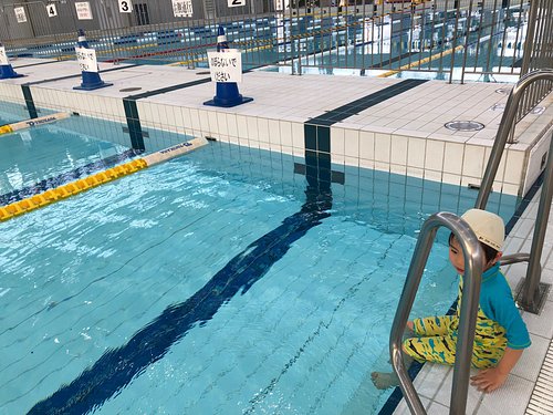 愛媛県の遊園地 ベスト5 トリップアドバイザー 愛媛県の遊園地 ベスト5 トリップアドバイザー