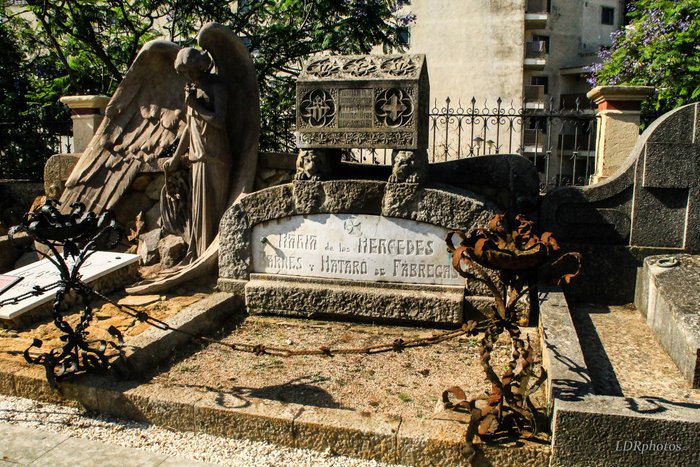 Imagen 6 de Cementerio modernista