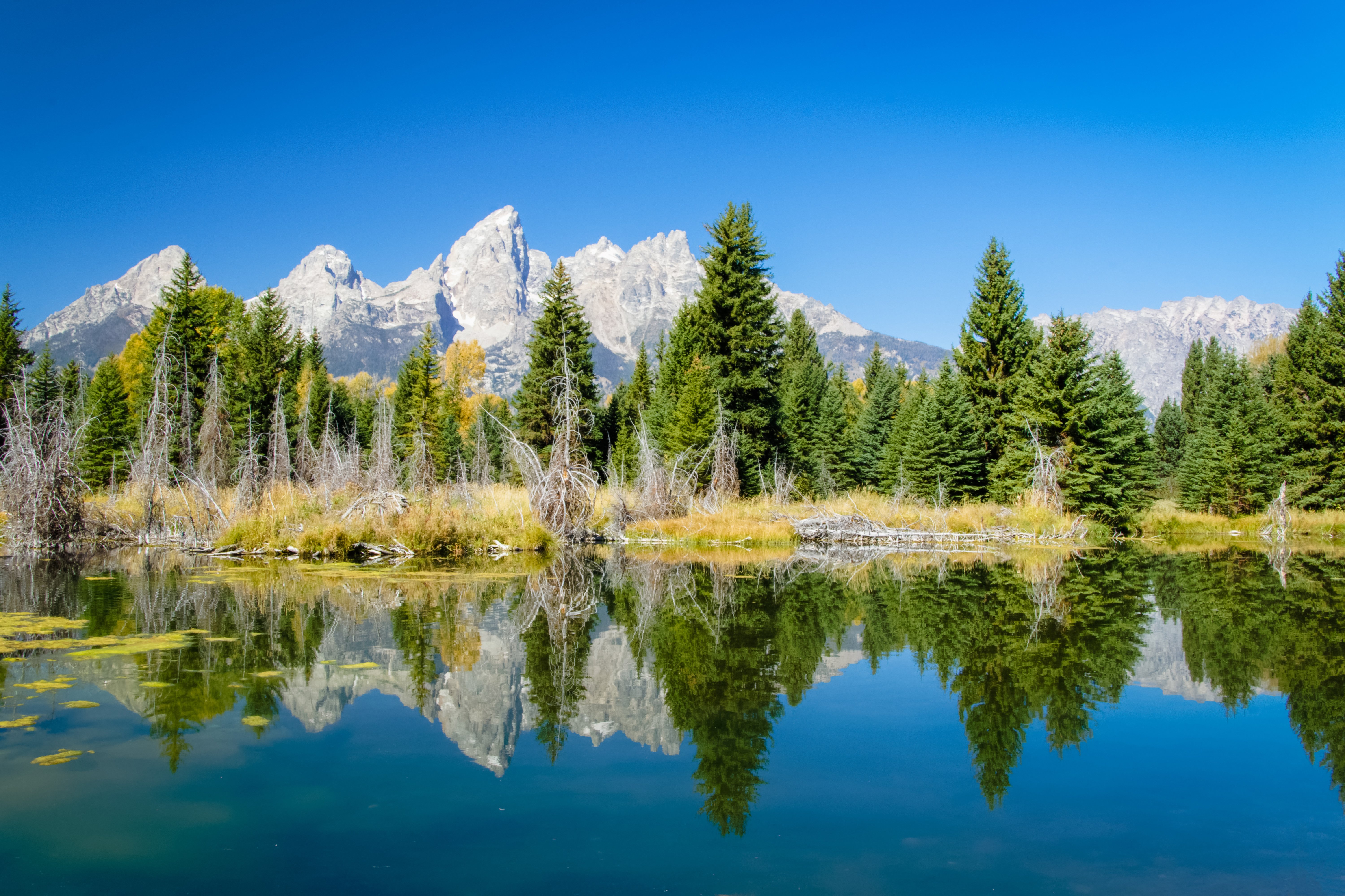 GRAND TETON NATIONAL PARK (Wyoming): Ce Qu'il Faut Savoir Pour Votre ...