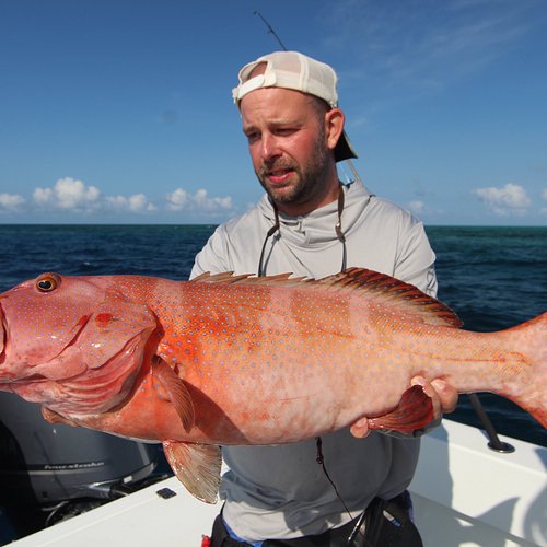 THE 10 BEST Port Douglas Fishing Charters & Tours (Updated 2024)