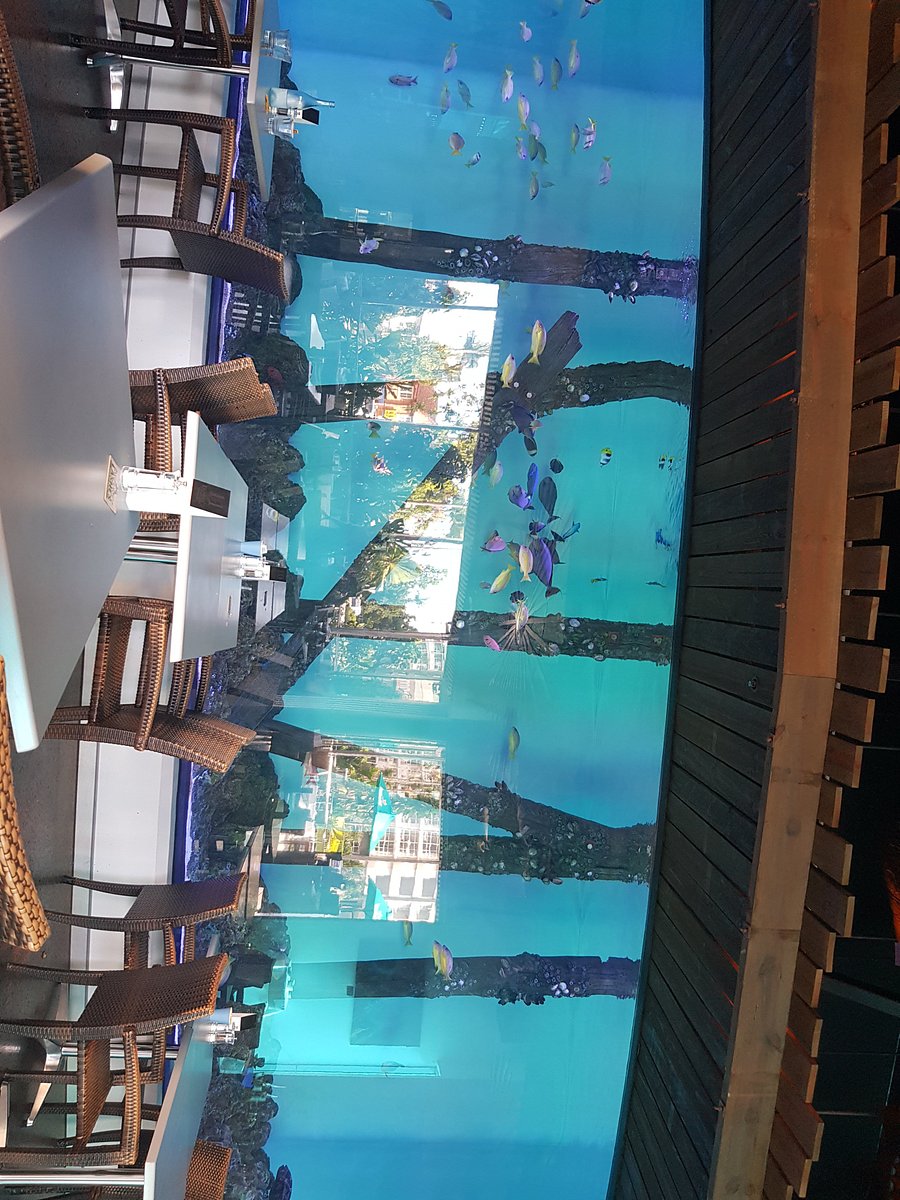 Q リゾーツ パディントン Q Resorts Paddington タウンズビル 21年最新の料金比較 口コミ 宿泊予約 トリップアドバイザー Q リゾーツ パディントン Q Resorts Paddington タウンズビル 21年最新の料金比較 口コミ 宿泊予約 トリップアドバイザー