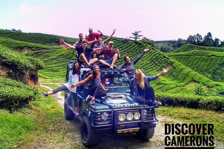 discover cameron travel & tour services
