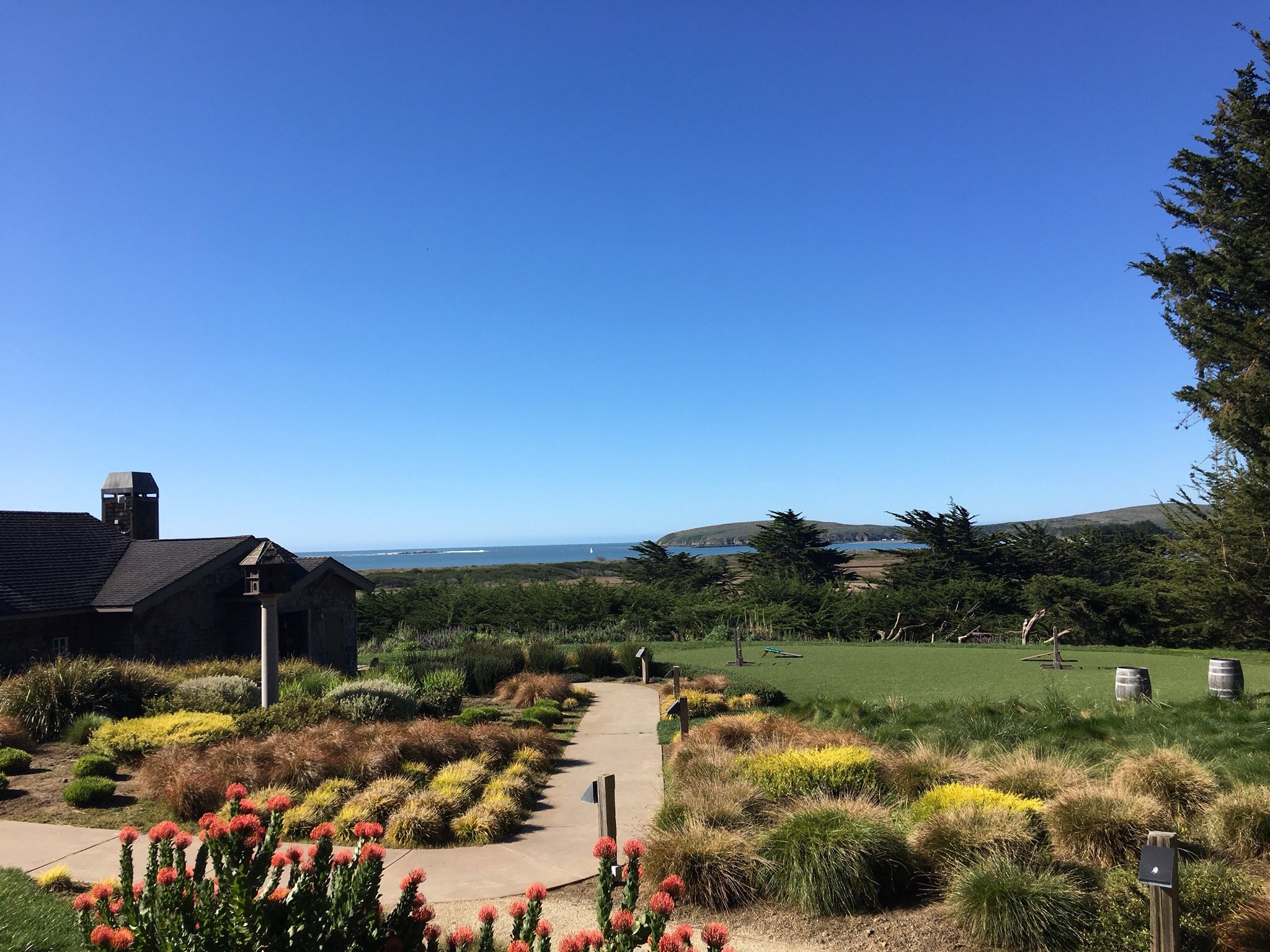 THE 10 BEST Restaurants In Bodega Bay (Updated November 2024)