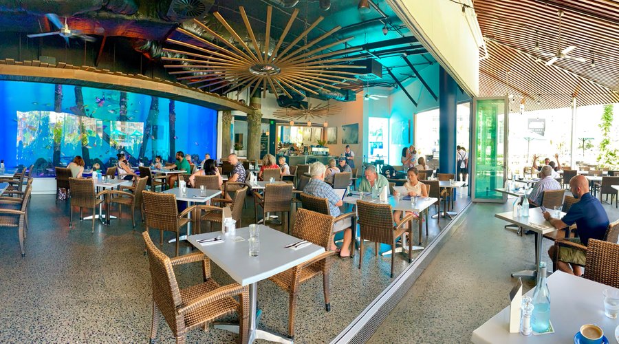 Dundee's at the Cairns Aquarium, open for breakfast, lunch and dinner from 8am daily. 

We also have a coffee shop within the restaurant that caters for those who wish to have coffee, tea, cakes and light snacks (dine in or take-away)

