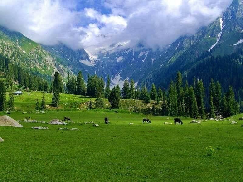 Kumrat Valley image