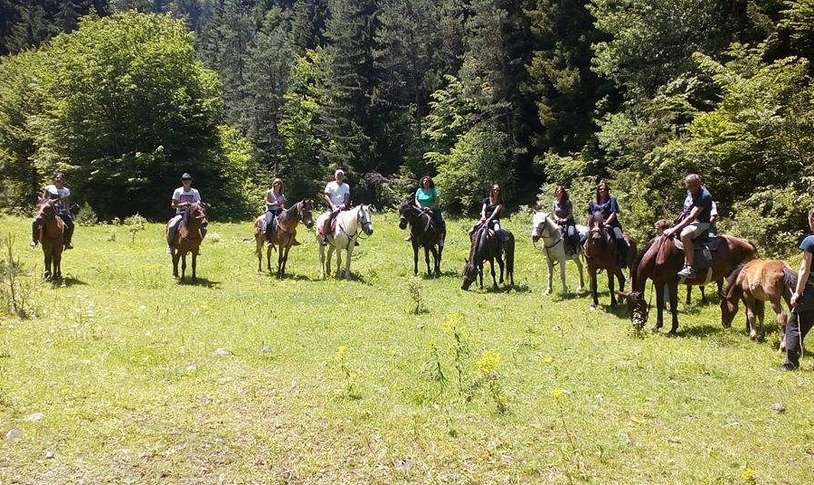 Borjomi horse tours image