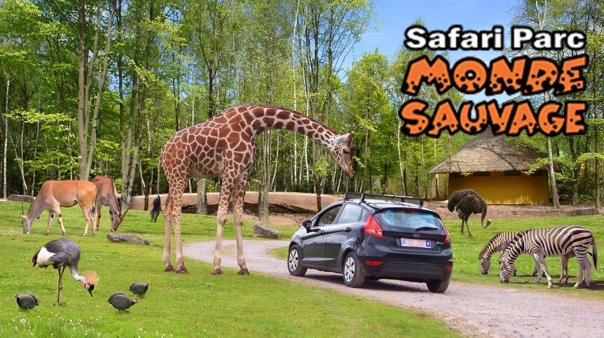 Monde Sauvage Safari Parc, Эвей: лучшие советы перед посещением -  Tripadvisor