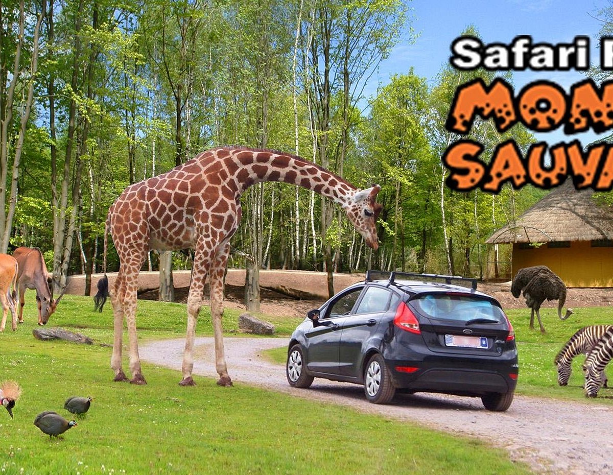 safari parc belgique
