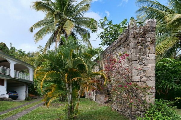 Le Gîte Araucaria, Sainte-Rose, Guadeloupe 