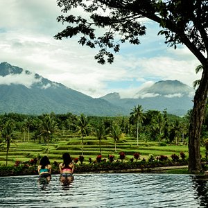 Swimming Pool with rice field and mountain view