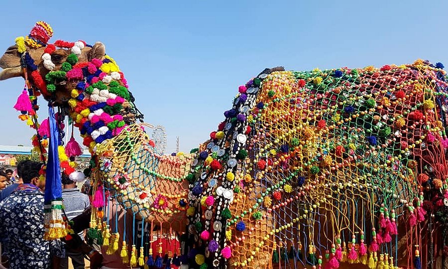 Pushkar Camel Fair image