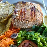 Salmon