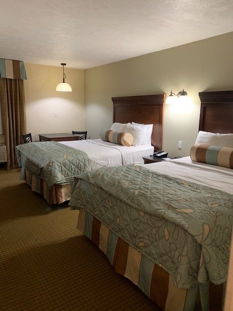 BAYMONT BY WYNDHAM BRANSON THEATER DISTRICT Prices Hotel Reviews MO   Comfy Beds 