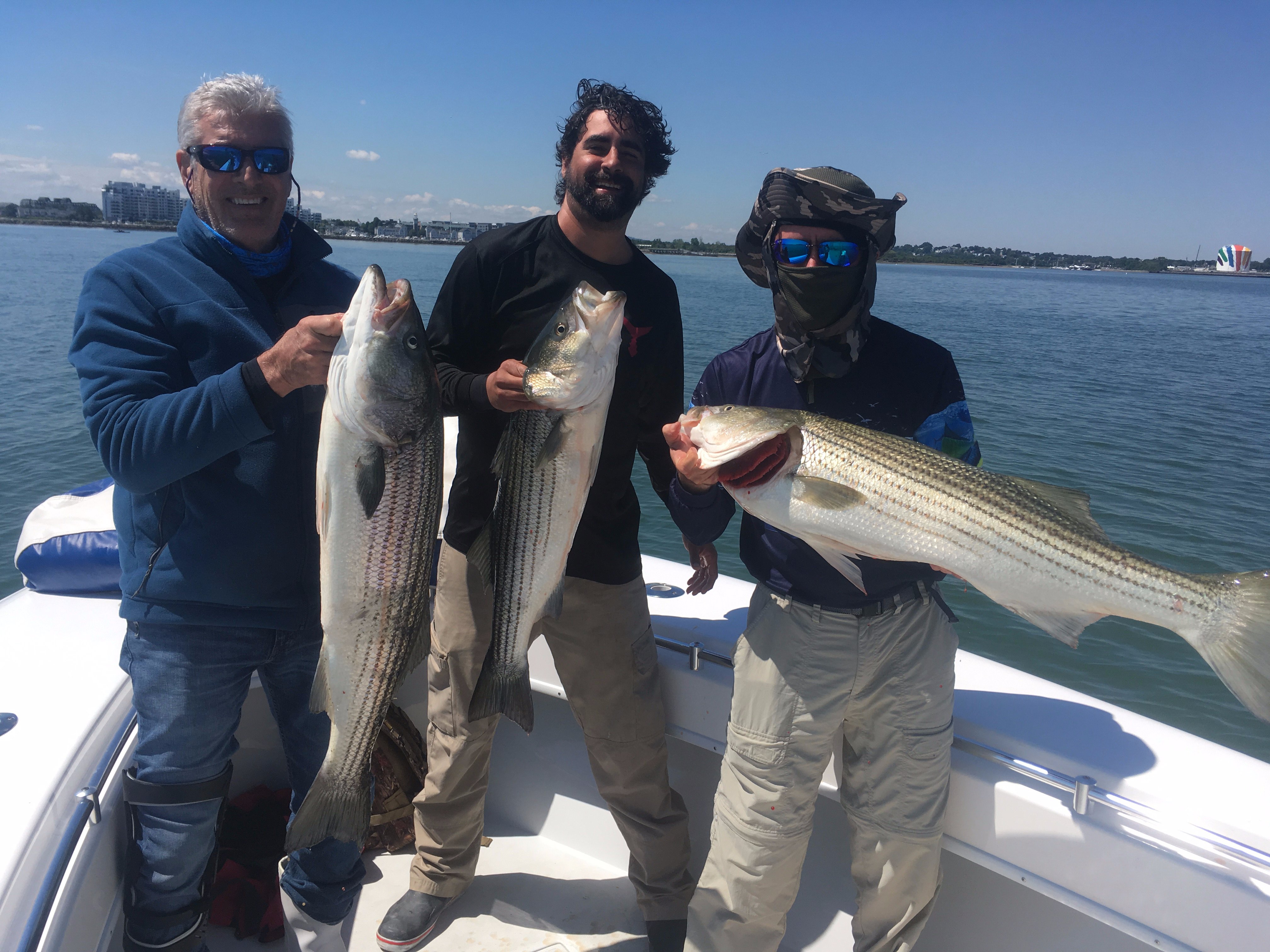 Chasin Tail Fisheries (Boston, MA): Address, Phone Number - Tripadvisor