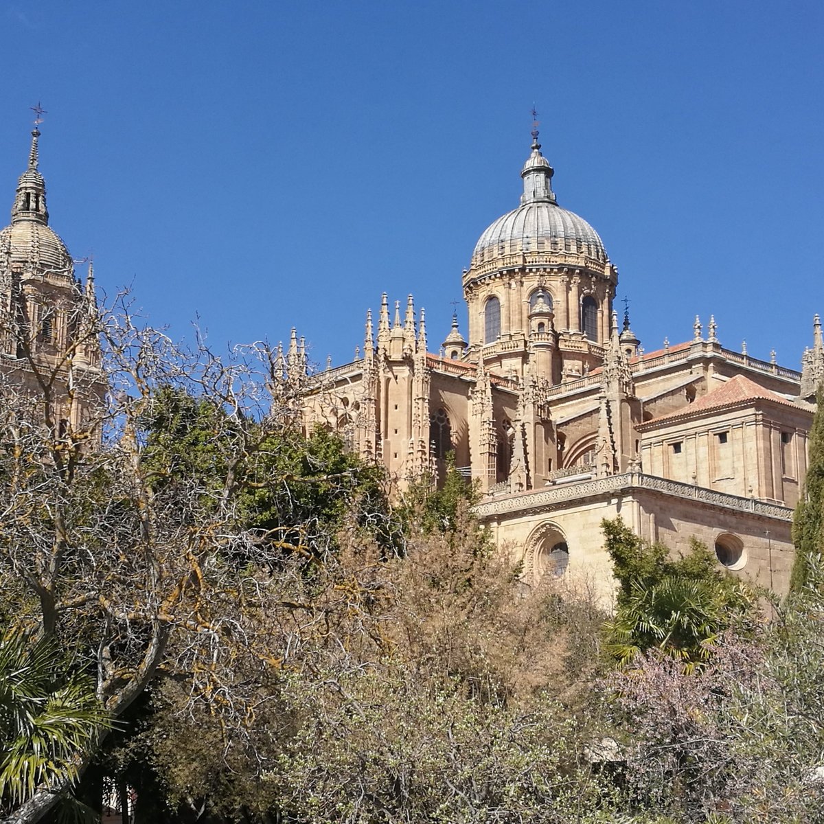 Ciudad Vieja de Salamanca, Саламанка: лучшие советы перед посещением -  Tripadvisor