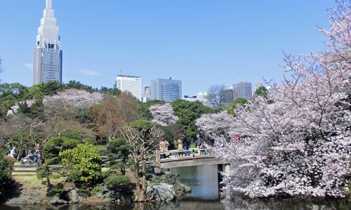 年日本新宿区的旅游景点 旅游指南 行程 Tripadvisor