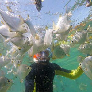 BREAKFREE IMPERIAL SURF SURFERS PARADISE (AUSTRÁLIA): 420 fotos, comparação  de preços e avaliações - Tripadvisor