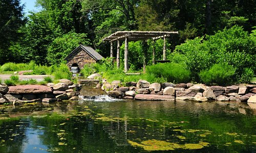Bowman's Hill Wildflower Preserve Pond