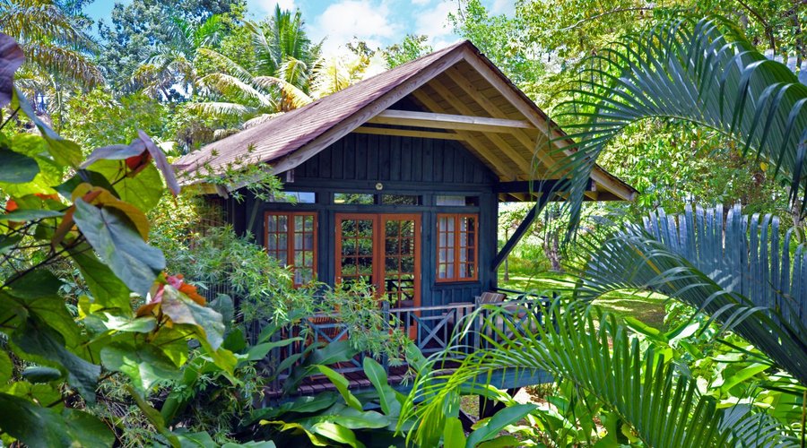Treehouse Style Accommodations. 