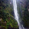 Things To Do in Full-Day Milford Sound Extraordinaire Tour from Te Anau, Restaurants in Full-Day Milford Sound Extraordinaire Tour from Te Anau