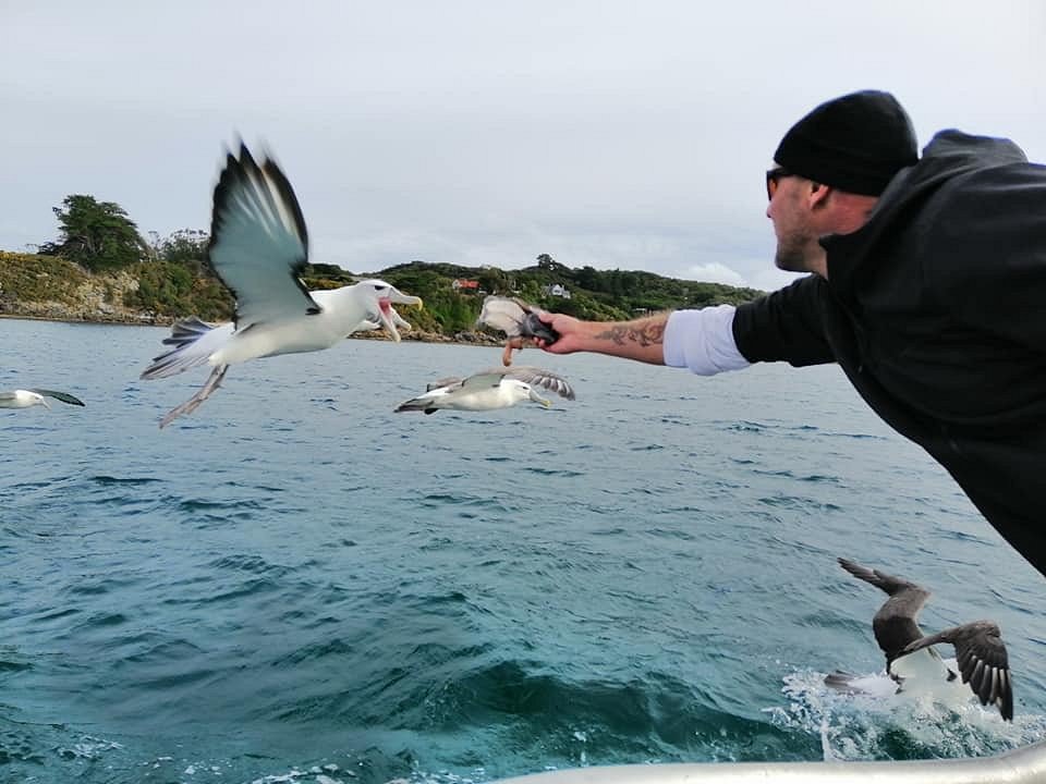 Thazard au lancer - Picture of Long Island Fishing, Grand Terre -  Tripadvisor