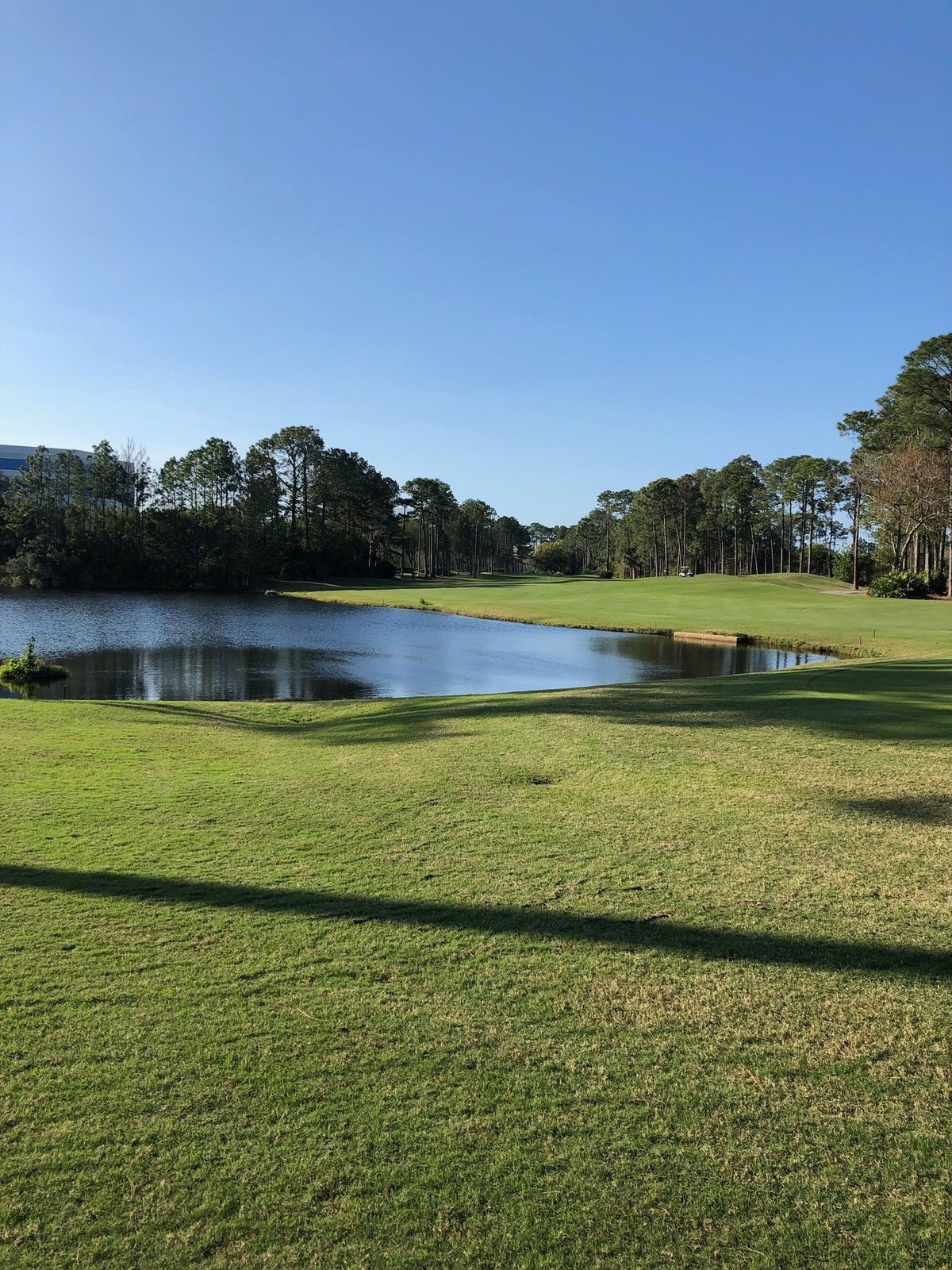 Windsor Parke Golf Club (Jacksonville) - Lo que se debe saber antes de ...