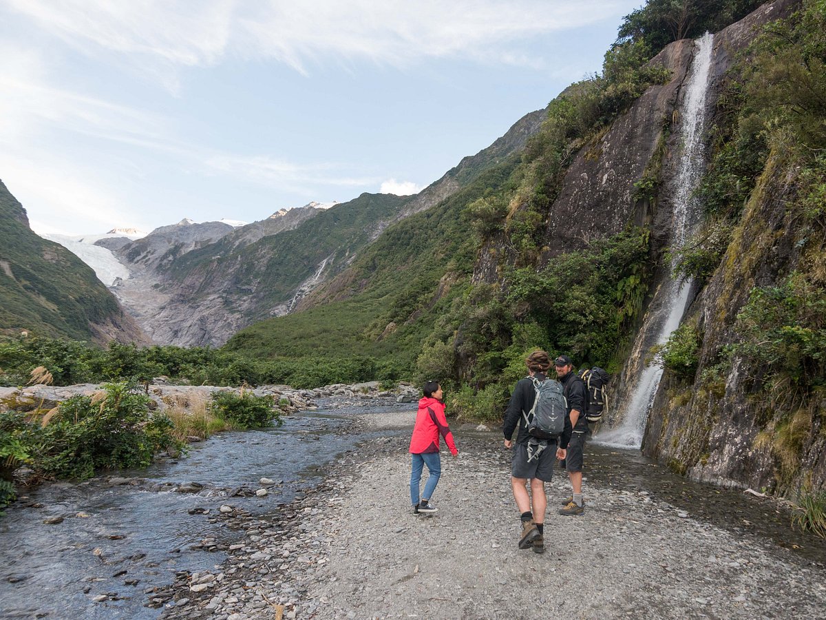 Walking valley. Westland National Park New Zealand.