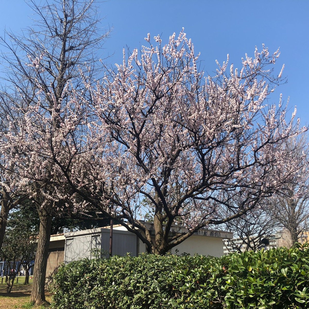 Maita Park Yokohama Ce Qu Il Faut Savoir Pour Votre Visite 22