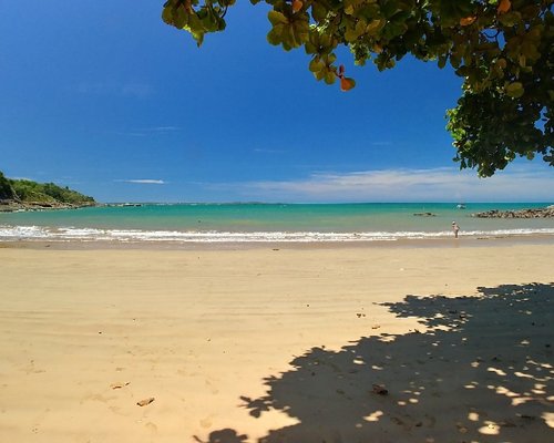 Quer nadar no mar? Luiz Lima passa dicas para quem deseja se aventurar