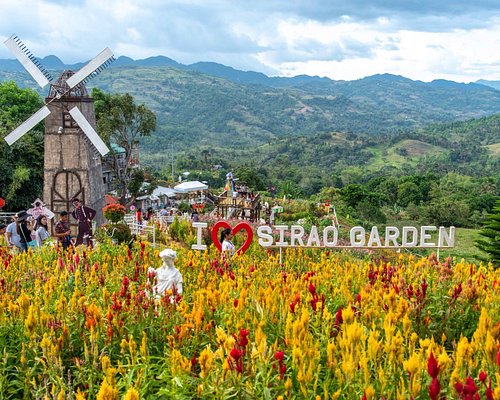 The 5 Best Cebu City Gardens Updated