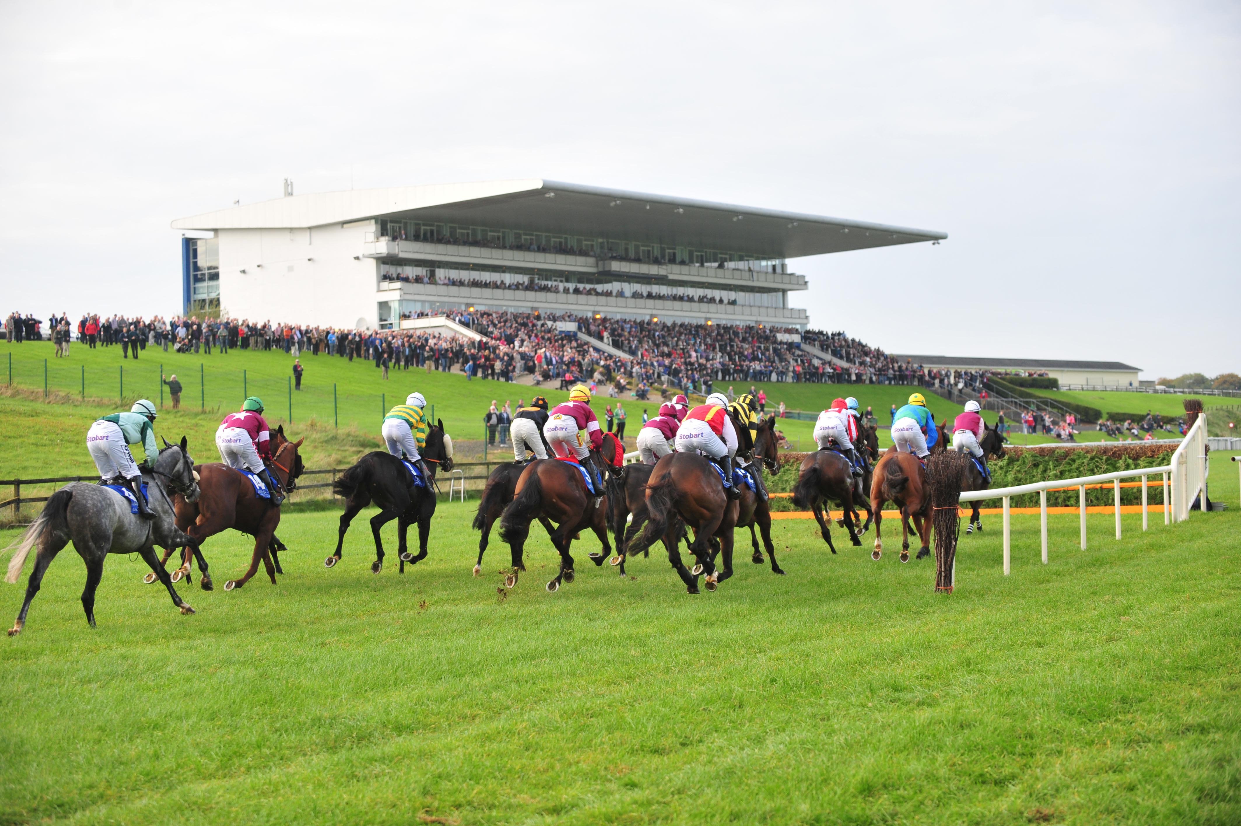 LIMERICK RACECOURSE (2024): All You MUST Know Before You Go