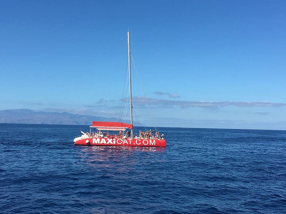 catamaran sailing adeje