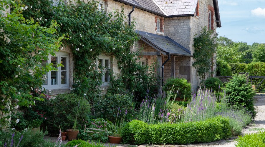Courtyard Garden
