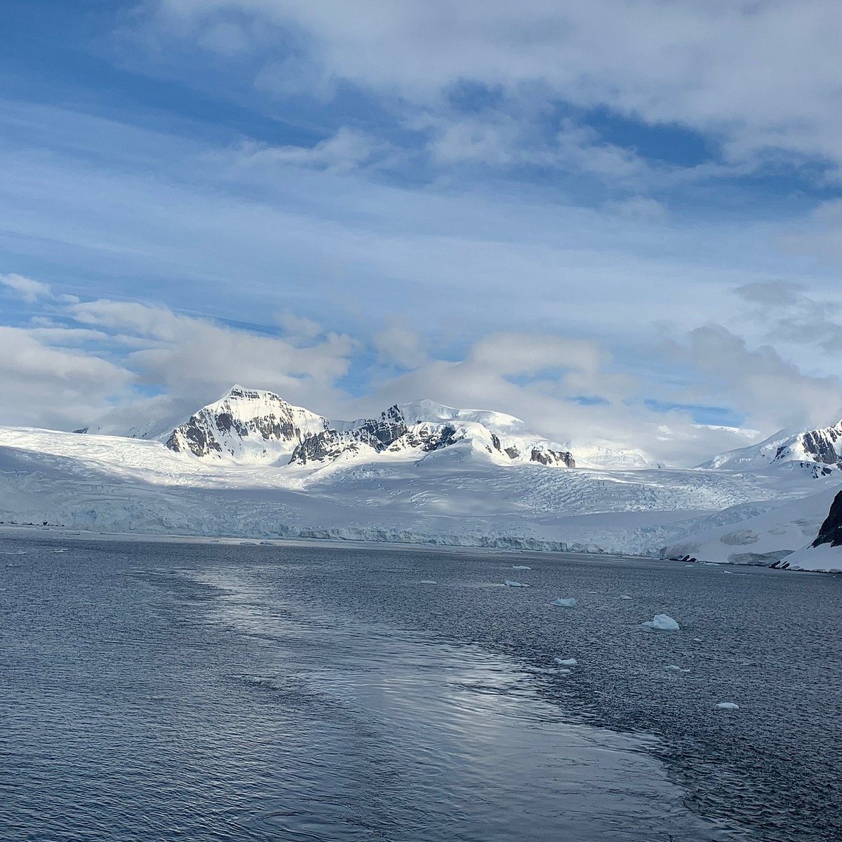 Experiencia AntÁrtica Ushuaia 2023 Qué Saber Antes De Ir Lo Más Comentado Por La Gente 