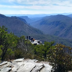 THE BEST 10 Bubble Tea near Linville Falls, NC - Last Updated September  2023 - Yelp