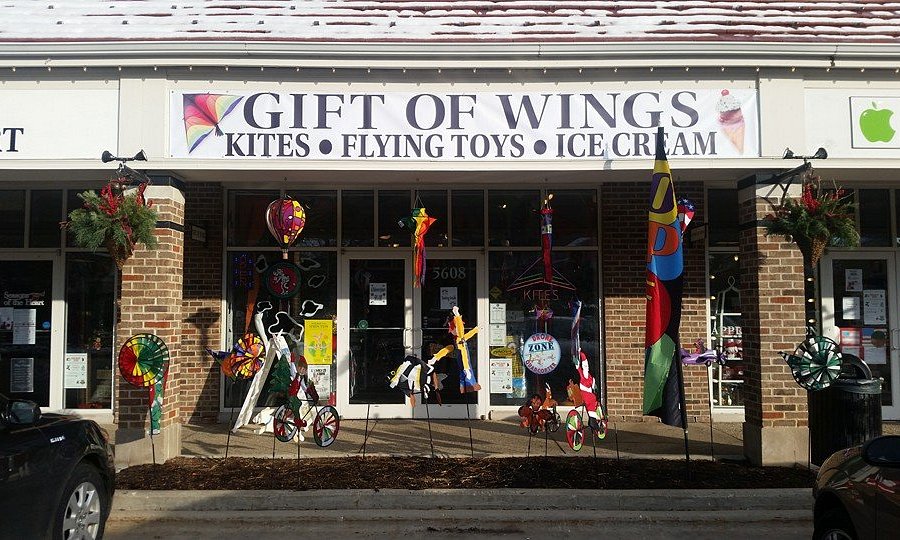 Gift of Wings image