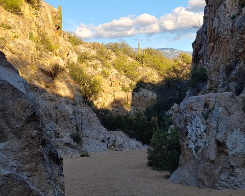 Oro Valley Parking