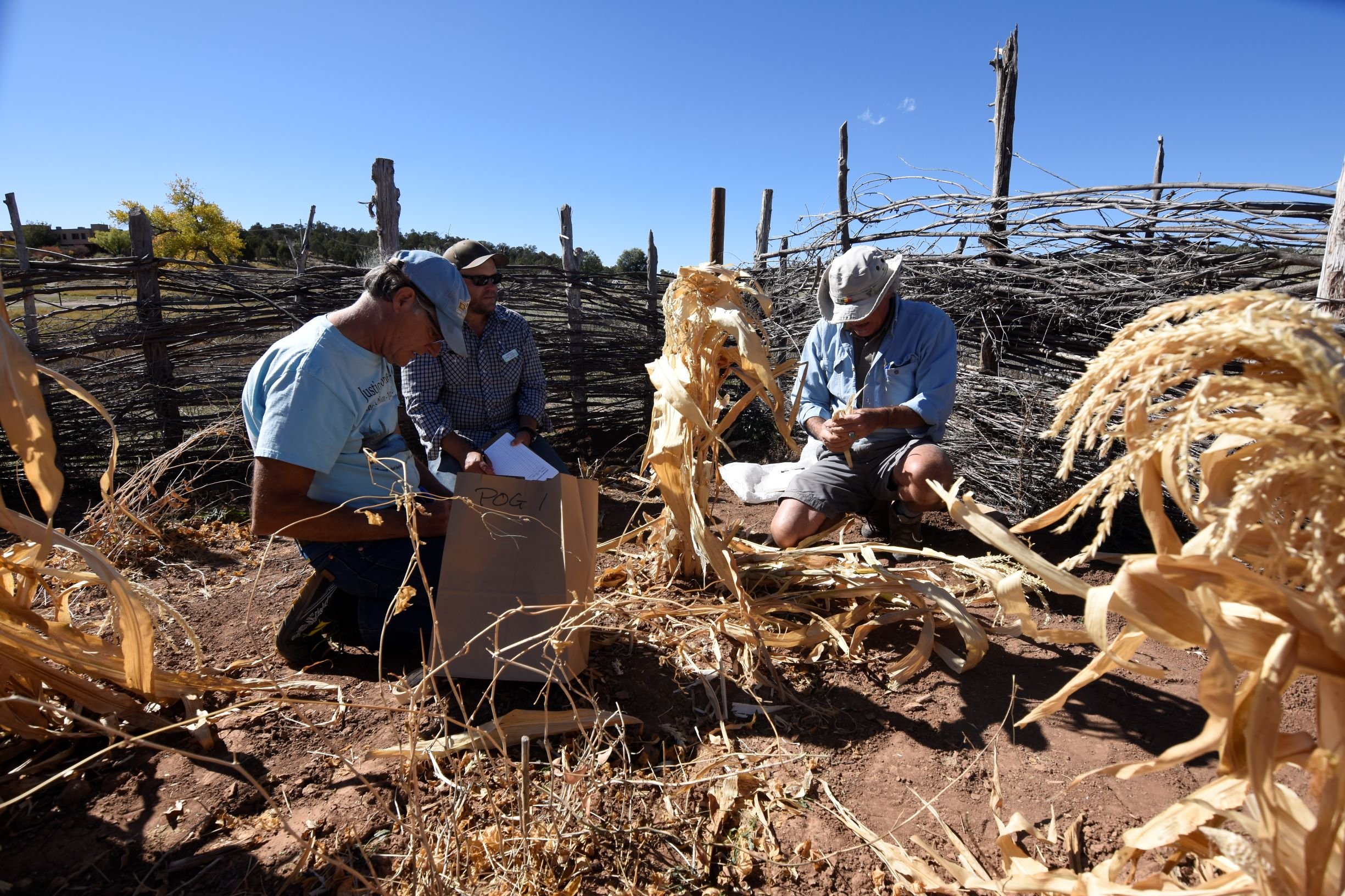 CROW CANYON ARCHAEOLOGICAL CENTER (Cortez): Ce Qu'il Faut Savoir