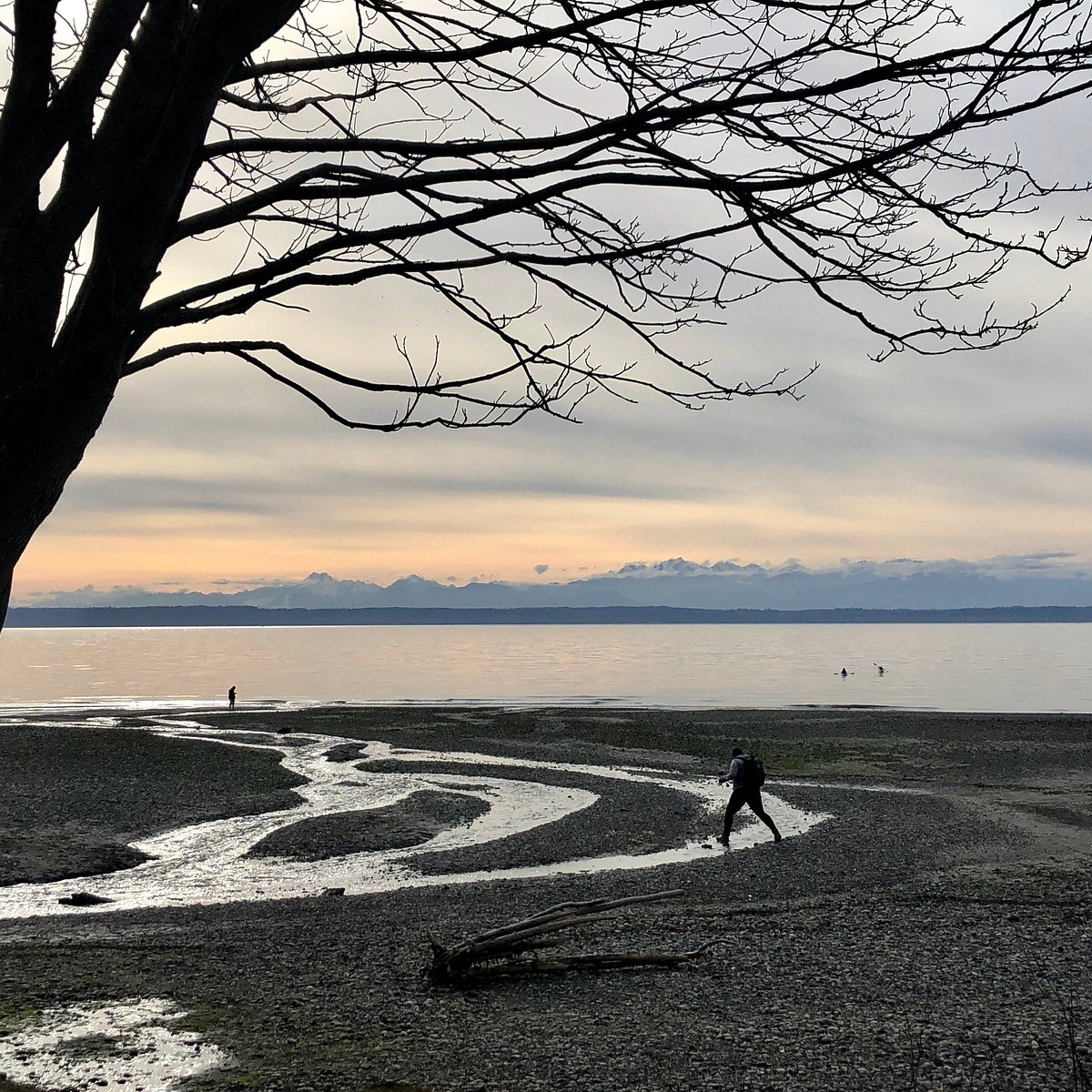 are dogs allowed at picnic point