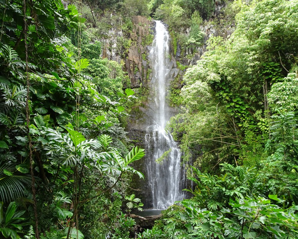 THE 15 BEST Things to Do in Hana (2024) - Must-See Attractions