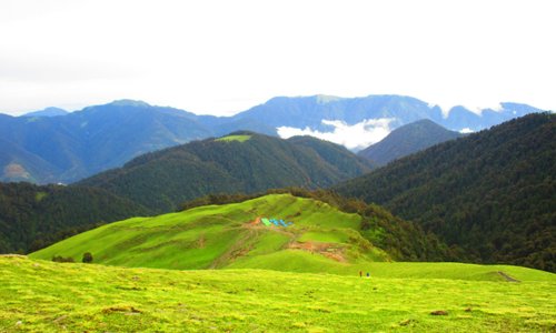 Open expanse of meadows 