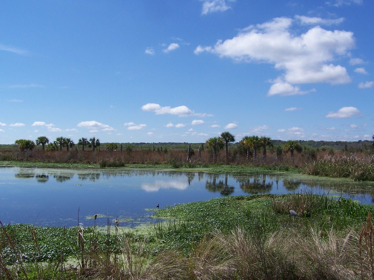 Sweetwater Wetlands Park, Гейнсвилл: лучшие советы перед посещением -  Tripadvisor