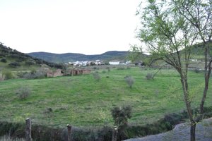 Camera e suite