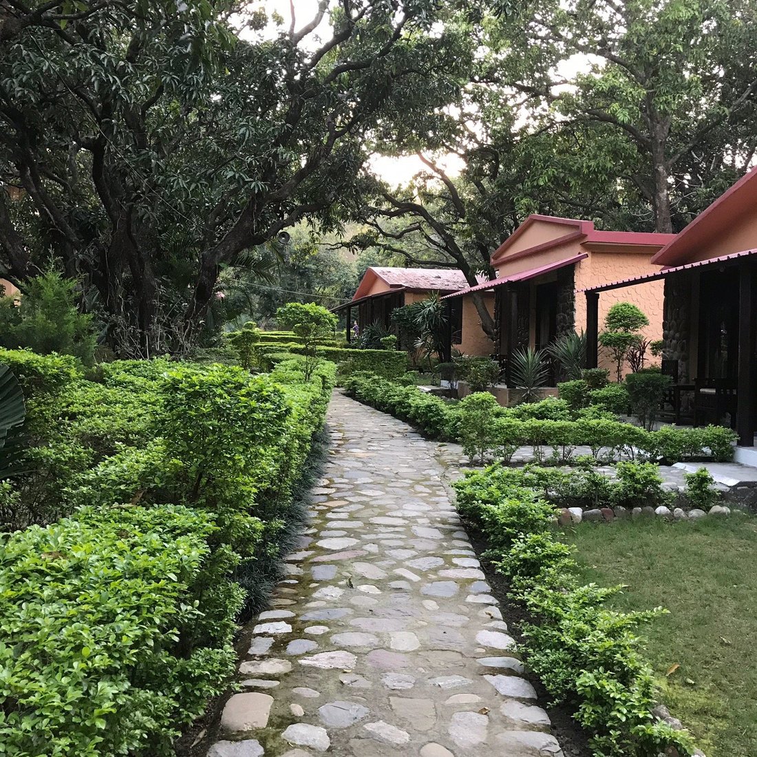 KRISHNA WILDERNESS RETREAT - Lodge Reviews (Jim Corbett National Park, India) KRISHNA WILDERNESS RETREAT -  Lodge Reviews (Jim... 