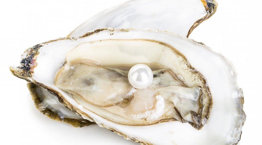 Extraction Perlière
Une extraction raffinée : de la perle au bijou !
Choisissez votre huître populaire, classique ou royale et un écailler y en extraira une perle,  de teinte variée, devant vous. Selon votre besoin, sélectionnez la monture d’une bague ou d’un pendentif et notre artisan créera votre bijou sur place.  Cristal du Lac demeure une référence en activités minéralogiques pour tous dans une ambiance accueillante !
