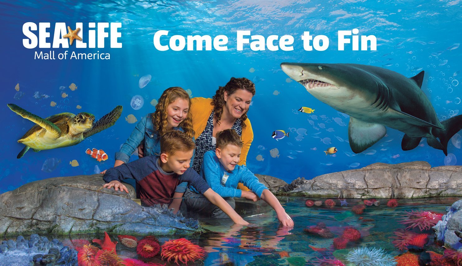 SEA LIFE At Mall Of America O Que Saber Antes De Ir 2024   Tickets 